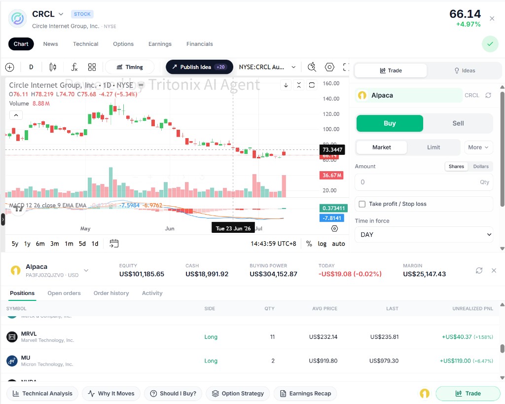 Asset Panel with docked broker account panel under the chart